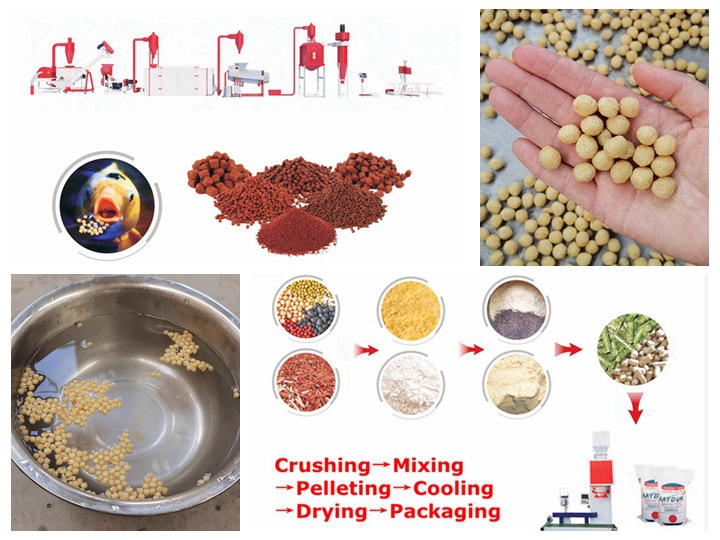 <h3>Setup a Cattle Feed Processing Plant: Business Plan</h3>
